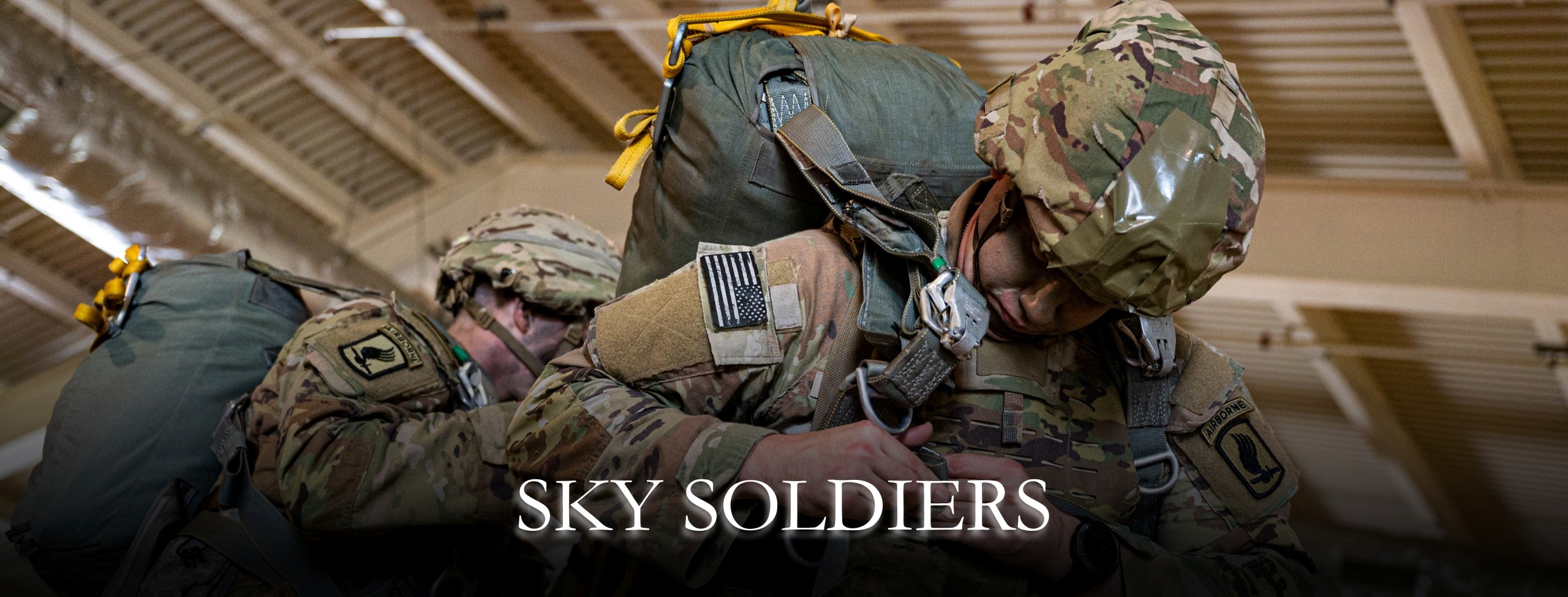 173rd Airborne Brigade 